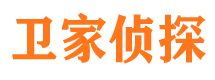 洛扎侦探公司